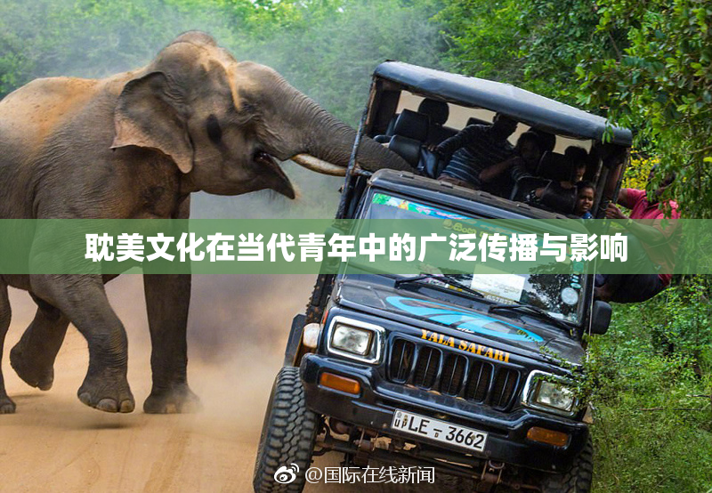 耽美文化在当代青年中的广泛传播与影响