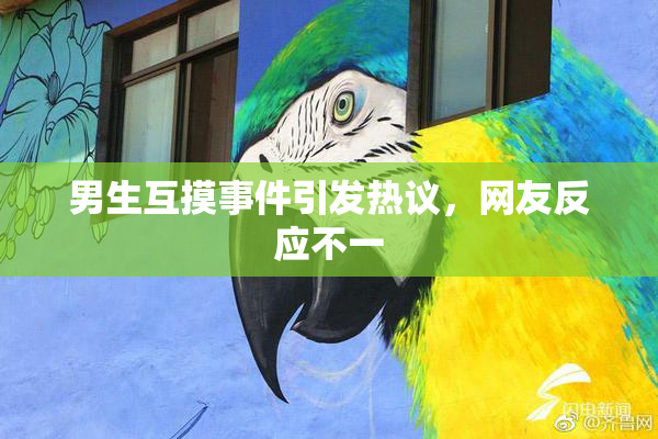 男生互摸事件引发热议，网友反应不一