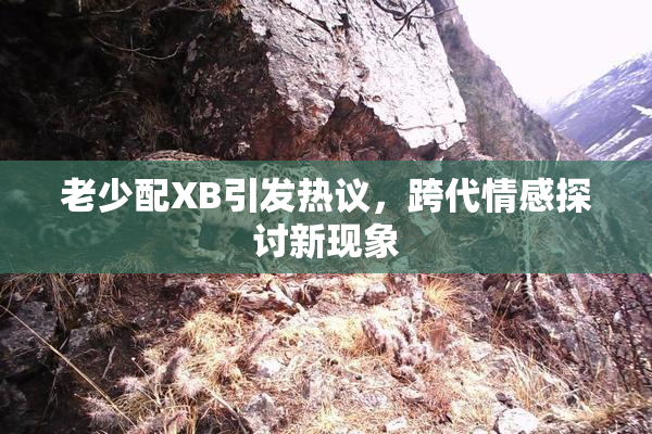 老少配XB引发热议，跨代情感探讨新现象