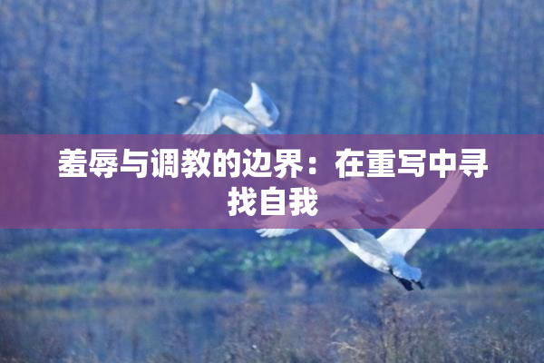 羞辱与调教的边界：在重写中寻找自我