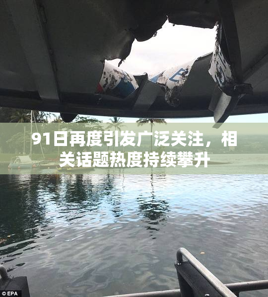 91日再度引发广泛关注，相关话题热度持续攀升