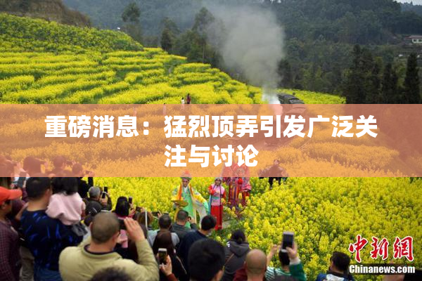 重磅消息：猛烈顶弄引发广泛关注与讨论