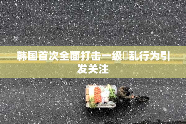 韩国首次全面打击一级婬乱行为引发关注