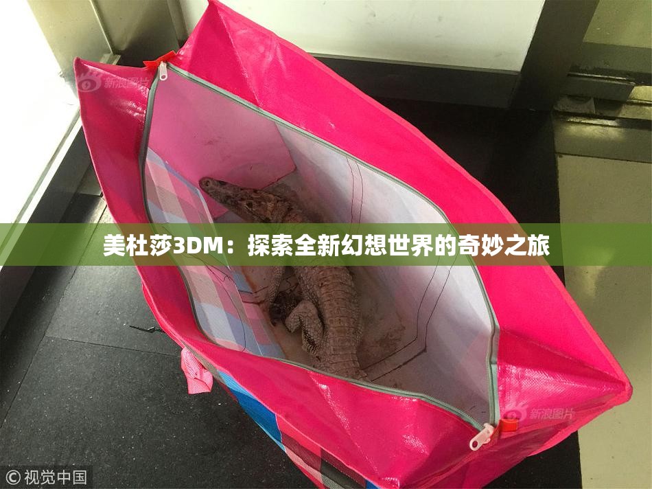 美杜莎3DM：探索全新幻想世界的奇妙之旅