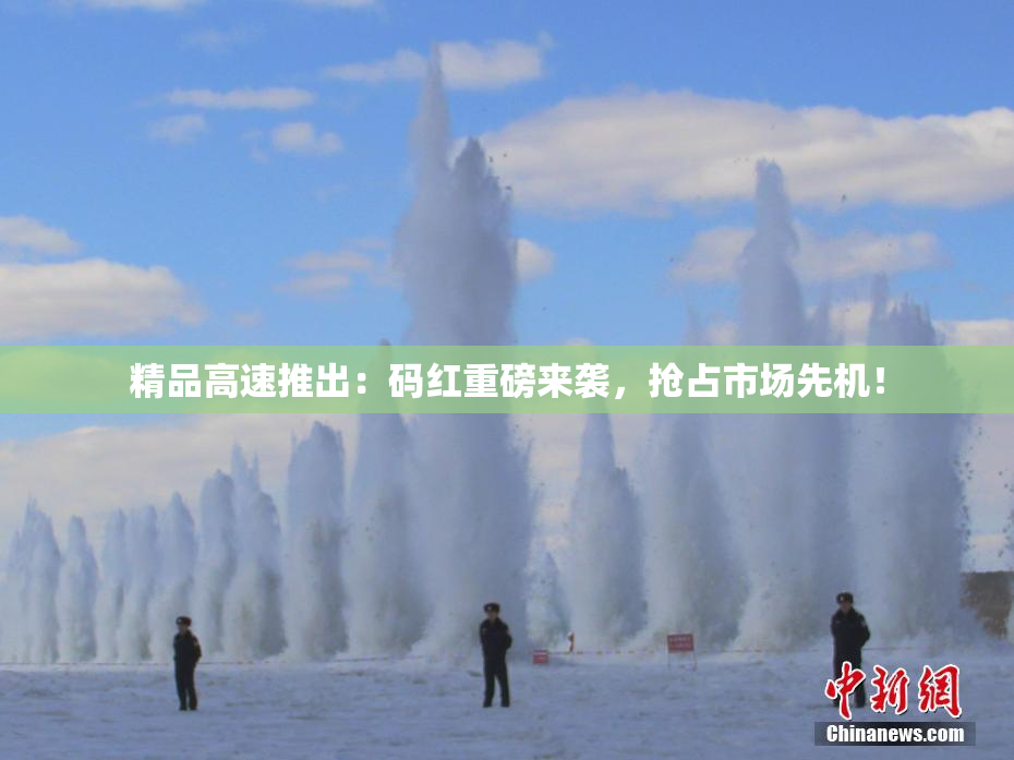 精品高速推出：码红重磅来袭，抢占市场先机！