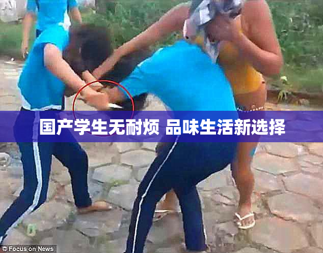 国产学生无耐烦 品味生活新选择