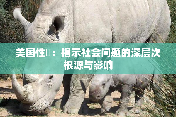 美国性婬：揭示社会问题的深层次根源与影响