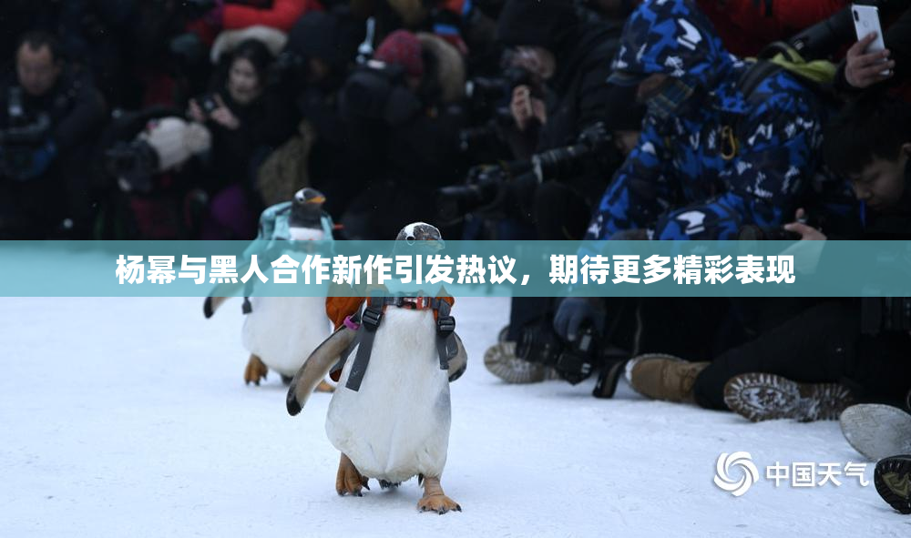 杨幂与黑人合作新作引发热议，期待更多精彩表现