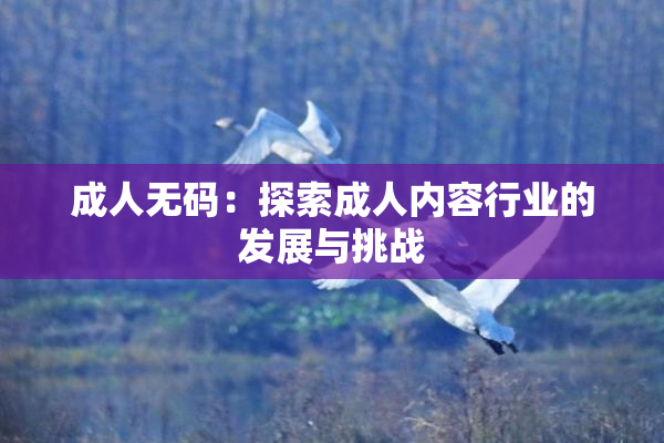 成人无码：探索成人内容行业的发展与挑战