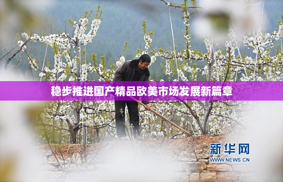 稳步推进国产精品欧美市场发展新篇章
