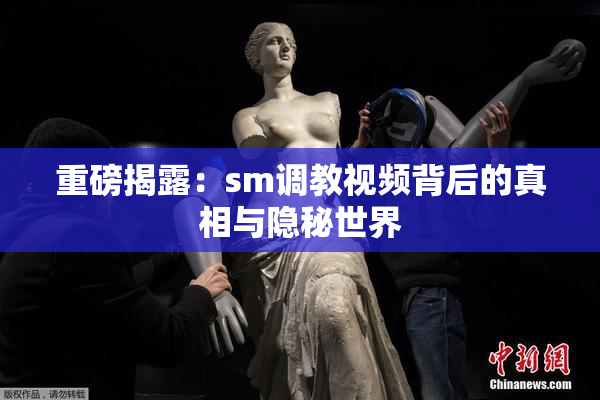重磅揭露：sm调教视频背后的真相与隐秘世界