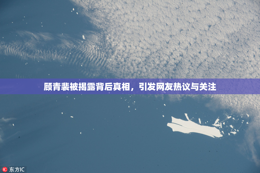 顾青裴被揭露背后真相，引发网友热议与关注