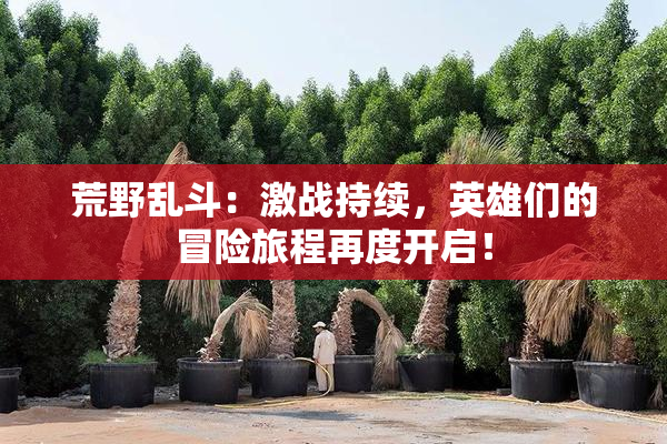 荒野乱斗：激战持续，英雄们的冒险旅程再度开启！