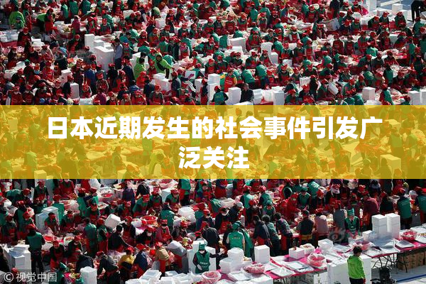 日本近期发生的社会事件引发广泛关注