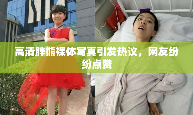 高清胖熊裸体写真引发热议，网友纷纷点赞