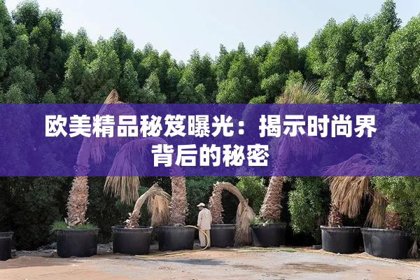欧美精品秘笈曝光：揭示时尚界背后的秘密