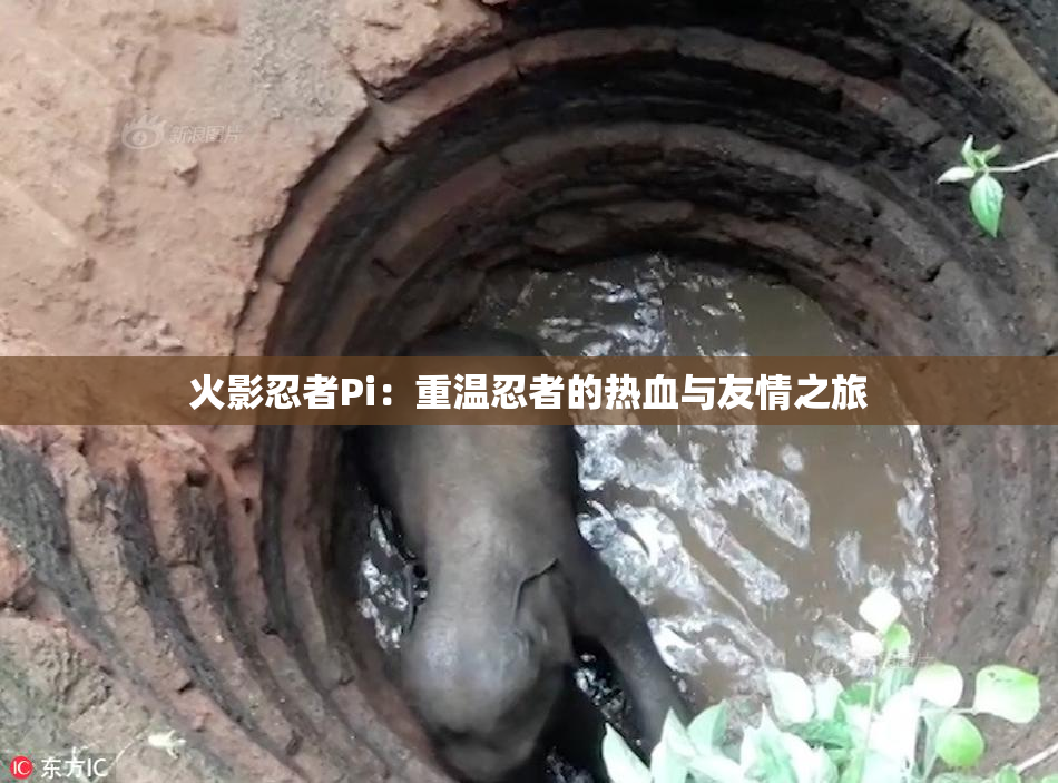 火影忍者Pi：重温忍者的热血与友情之旅