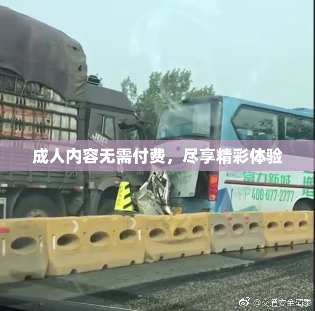 成人内容无需付费，尽享精彩体验