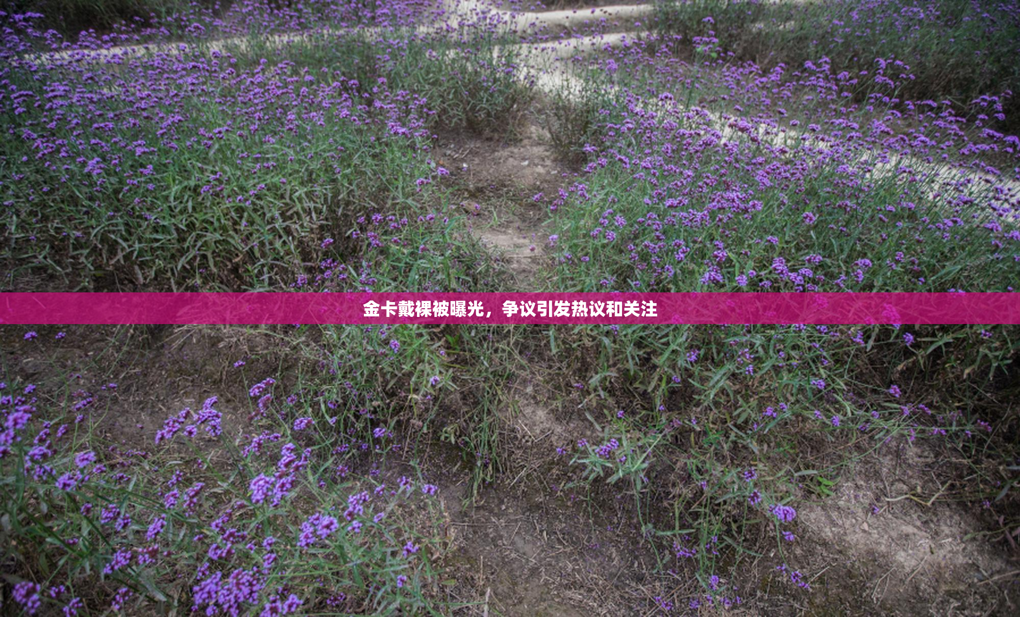 金卡戴裸被曝光，争议引发热议和关注