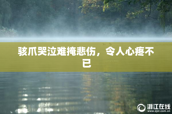 骇爪哭泣难掩悲伤，令人心疼不已