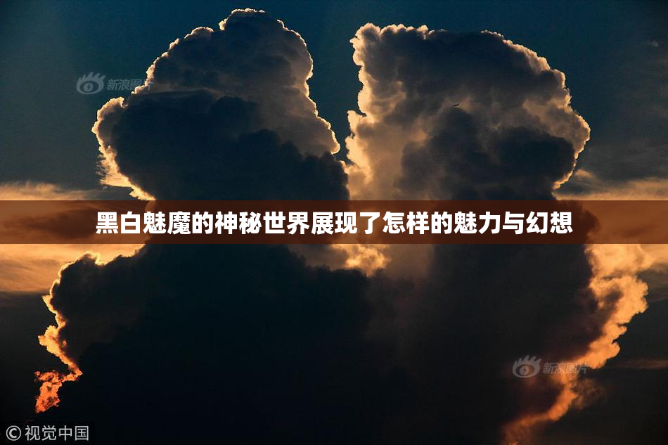 黑白魅魔的神秘世界展现了怎样的魅力与幻想