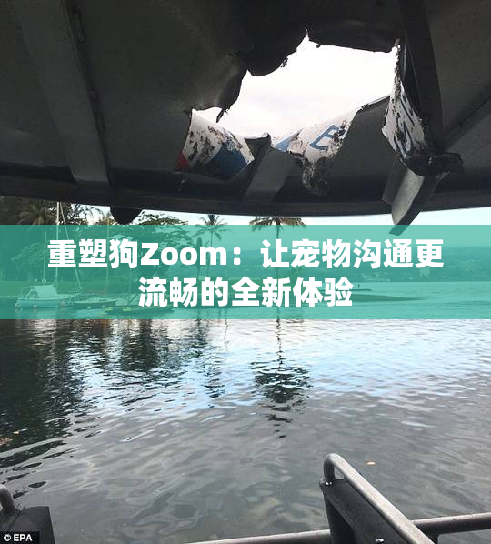 重塑狗Zoom：让宠物沟通更流畅的全新体验