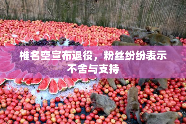 椎名空宣布退役，粉丝纷纷表示不舍与支持