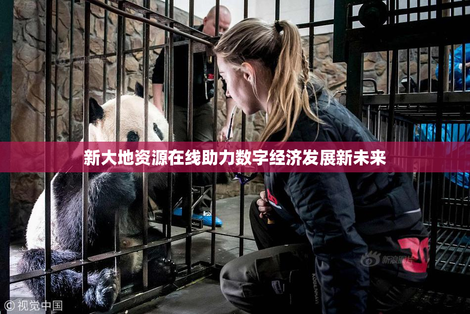 新大地资源在线助力数字经济发展新未来
