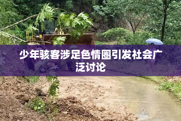 少年骇客涉足色情圈引发社会广泛讨论