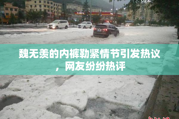 魏无羡的内裤勒紧情节引发热议，网友纷纷热评