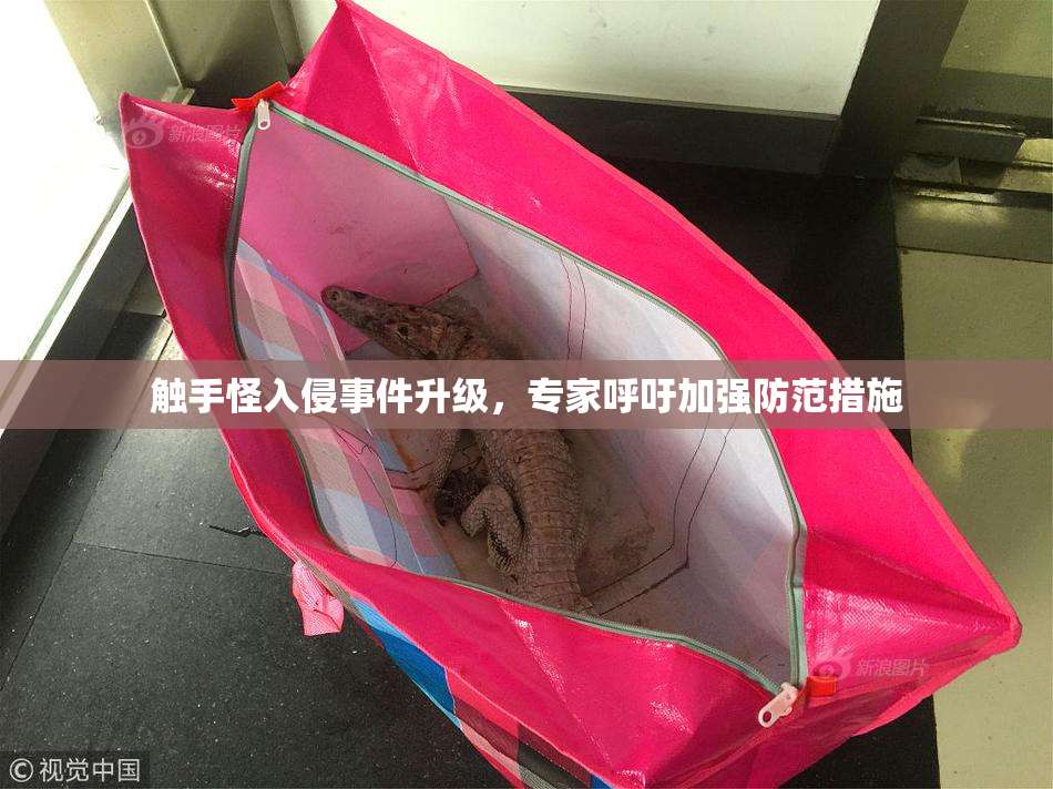触手怪入侵事件升级，专家呼吁加强防范措施