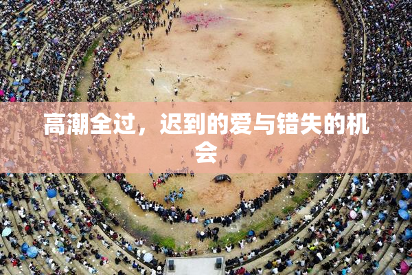 高潮全过，迟到的爱与错失的机会
