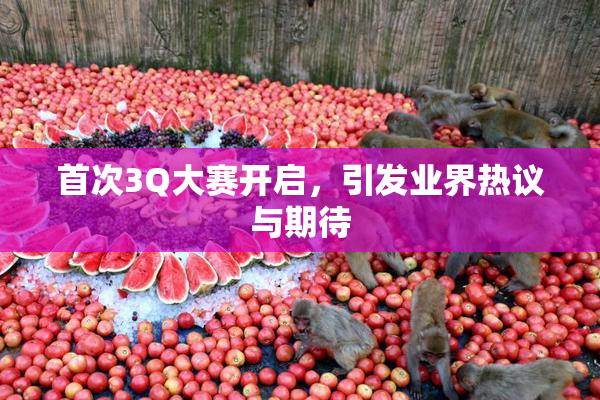 首次3Q大赛开启，引发业界热议与期待