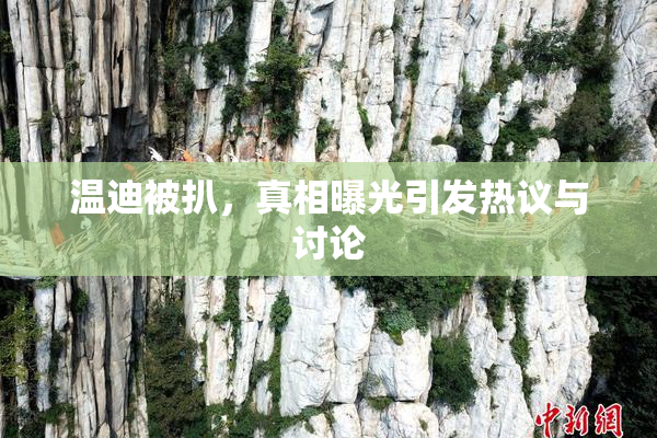 温迪被扒，真相曝光引发热议与讨论