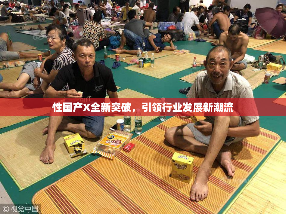 性国产X全新突破，引领行业发展新潮流