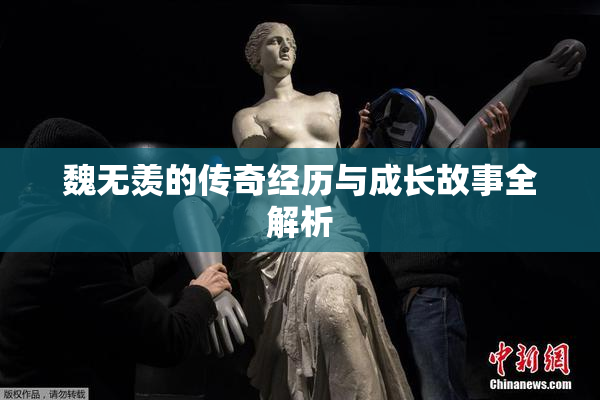 魏无羡的传奇经历与成长故事全解析