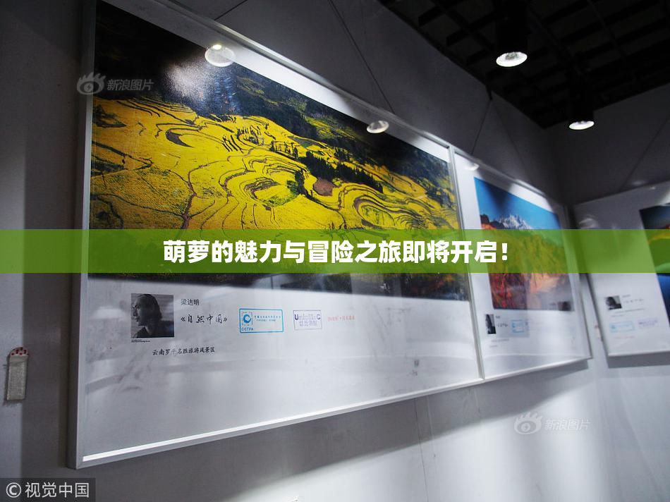 萌萝的魅力与冒险之旅即将开启！