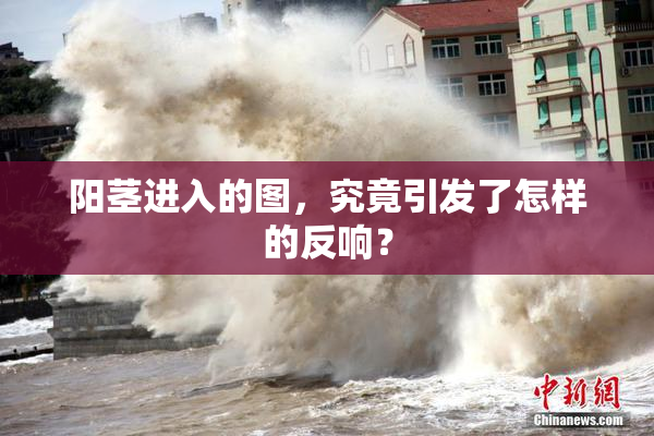阳茎进入的图，究竟引发了怎样的反响？