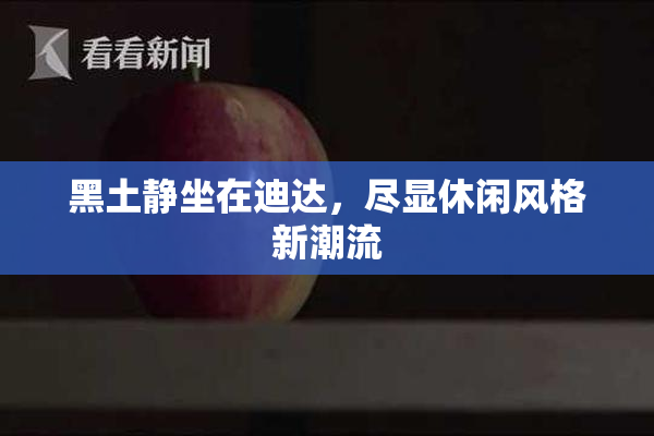 黑土静坐在迪达，尽显休闲风格新潮流