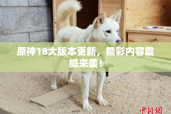 原神18大版本更新，精彩内容震撼来袭！