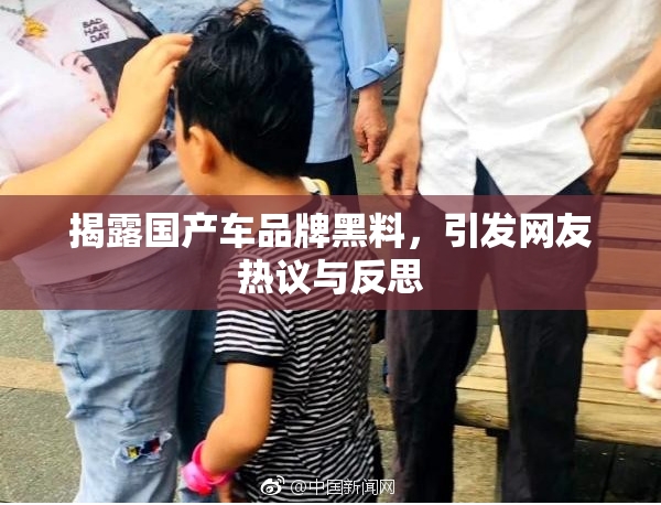 揭露国产车品牌黑料，引发网友热议与反思