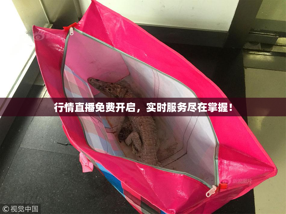 行情直播免费开启，实时服务尽在掌握！