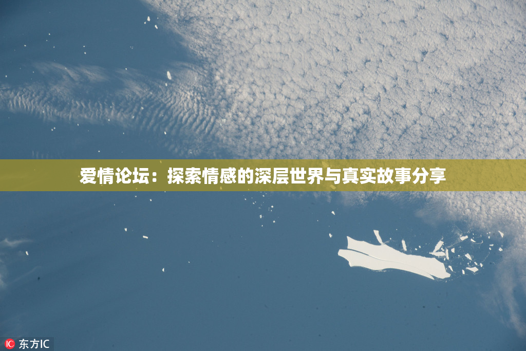 爱情论坛：探索情感的深层世界与真实故事分享
