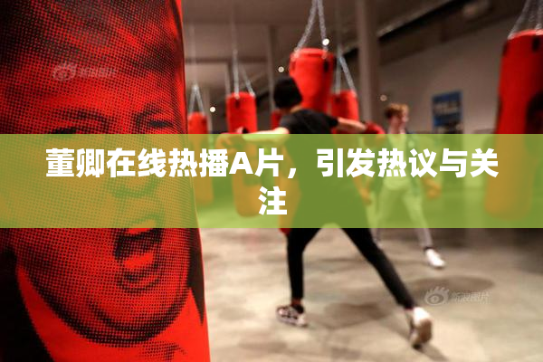 董卿在线热播A片，引发热议与关注