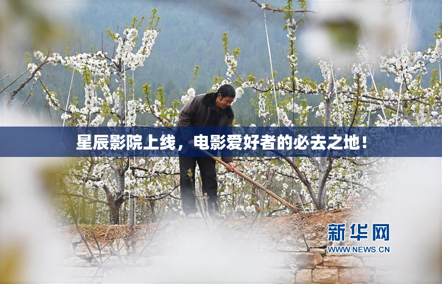 星辰影院上线，电影爱好者的必去之地！