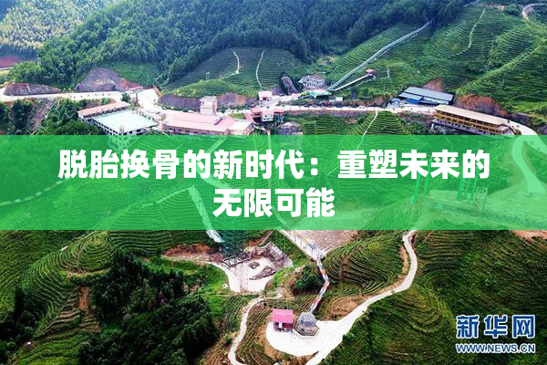 脱胎换骨的新时代：重塑未来的无限可能