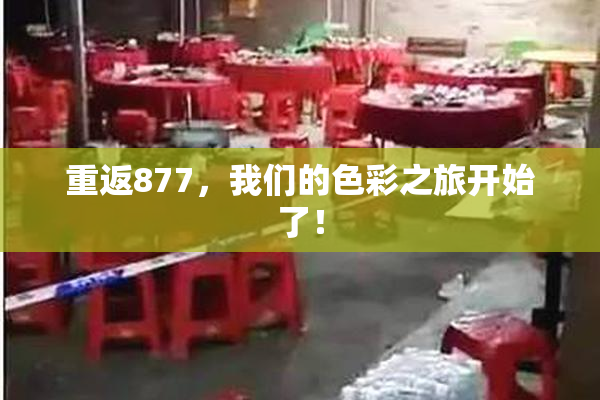 重返877，我们的色彩之旅开始了！