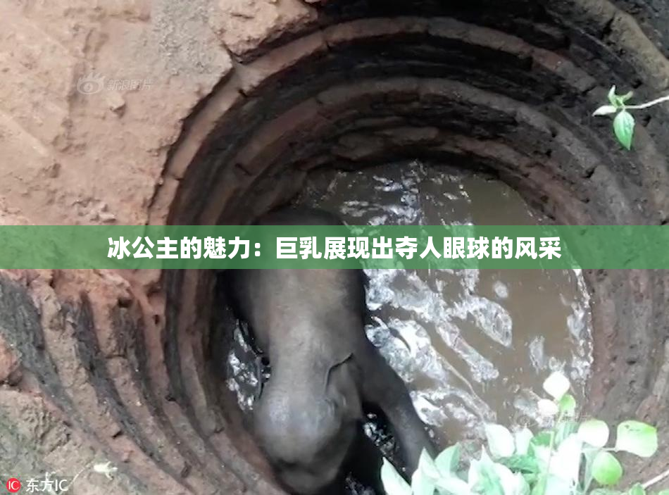 冰公主的魅力：巨乳展现出夺人眼球的风采