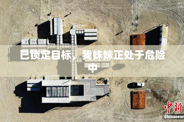已锁定目标，我妹妹正处于危险中