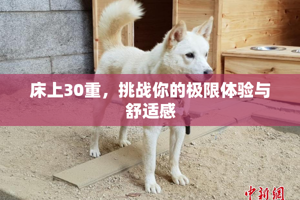 床上30重，挑战你的极限体验与舒适感
